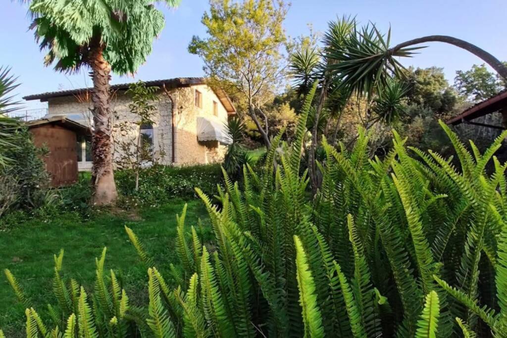 Villa Neli, Palazzolo Acreide, Siracusa, Hot Tub, Wi-Fi & Parking 外观 照片
